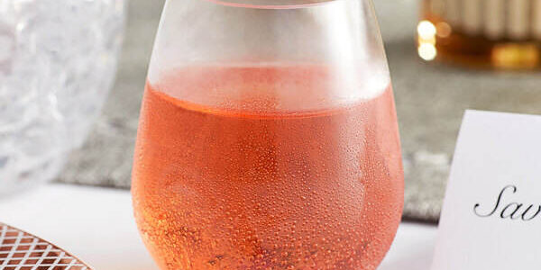 120ml PET Plastic Stemless Wine Glasses