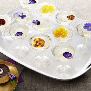 Plastic Coupe Cocktail Glass for Parties