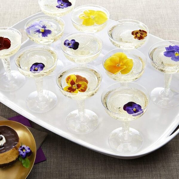 BPA Free Clear Plastic Coupe Cocktail Glasses 130ml for Parties & Champagne (4) Plastic Coupe Cocktail Glass for Parties
