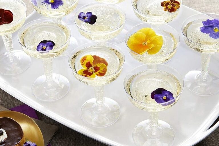 Plastic Coupe Cocktail Glass for Parties