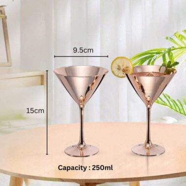 Stainless Steel Martini Cocktail Glasses