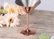 Stainless Steel Martini Cocktail Glasses