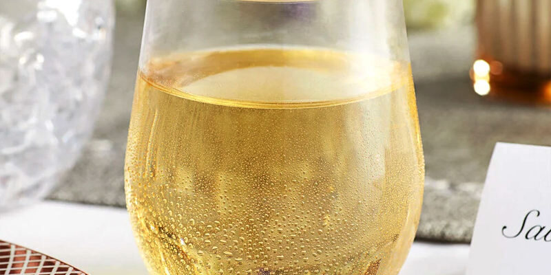 Stemless Plastic Wine Glasses