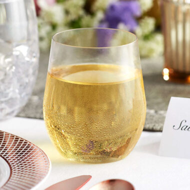 Stemless Plastic Wine Glasses